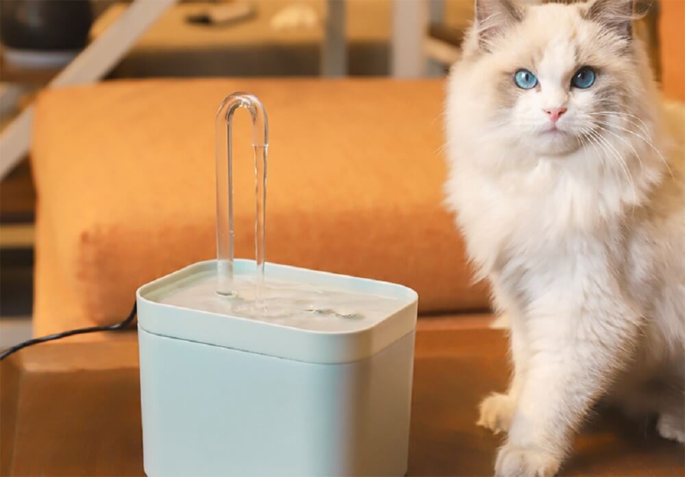 AquaPet | Katzen Trinkwasser Brunnen Katze Automatisch USB Filter Leise 1.5 L Fassungsvermögen - KIIRA General Store