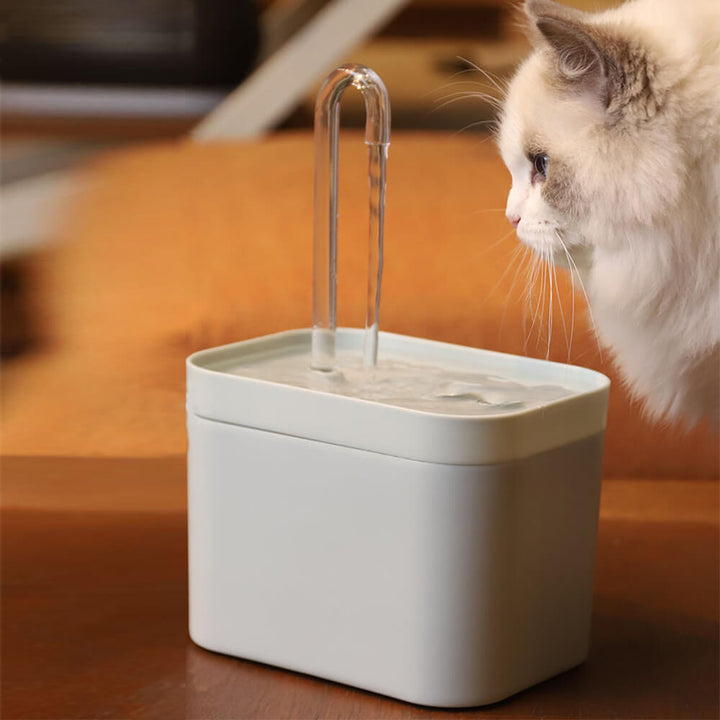 AquaPet | Katzen Trinkwasser Brunnen Katze Automatisch USB Filter Leise 1.5 L Fassungsvermögen - KIIRA General Store