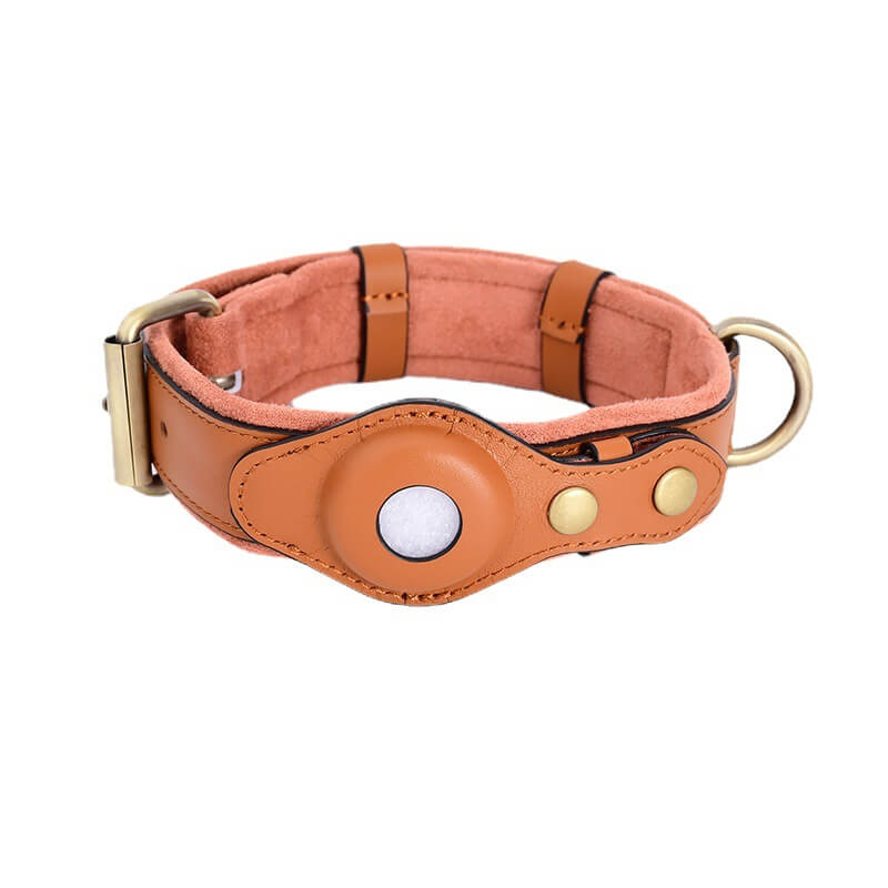 DogTag | AirTag Hunde Halsband Anti Verlust Tracker - KIIRA General Store