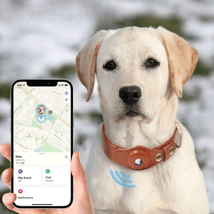 DogTag | AirTag Hunde Halsband Anti Verlust Tracker - KIIRA General Store