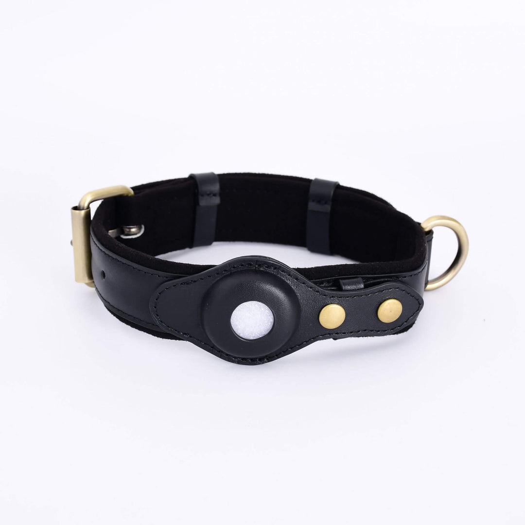 DogTag | AirTag Hunde Halsband Anti Verlust Tracker - KIIRA General Store